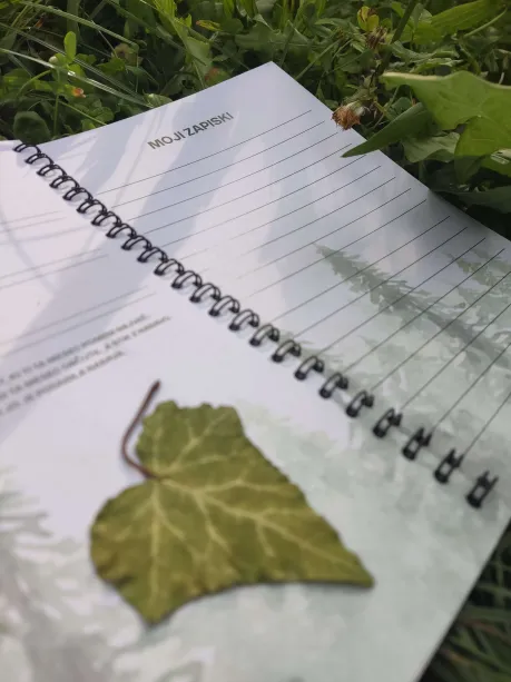 Odprta nabiralniška beležnica Moj zapiski na travi, pripravljena za zapisovanje zelišč in plodov, ob strani pa zelen list bršljana.