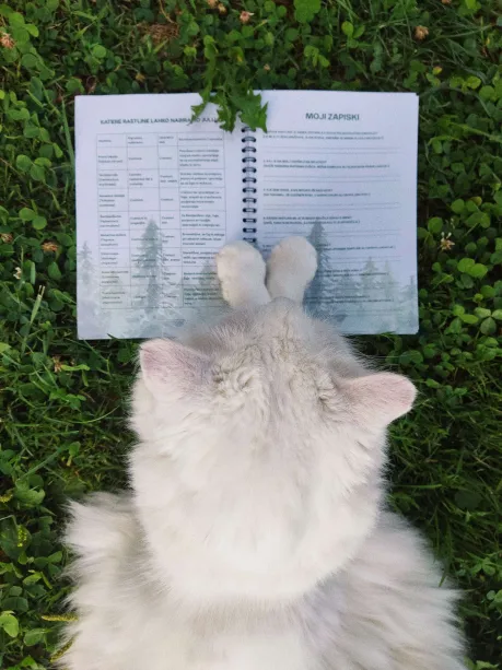 Bela mačka leži na travi in gleda v odprto nabiralniško beležnico Moj zapiski za zapisovanje najdenih zelišč in plodov.