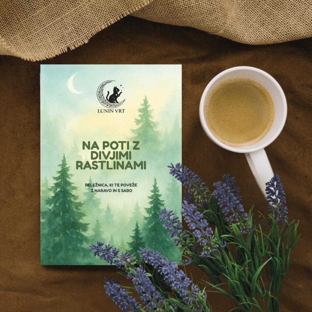 Nabiralniška beležnica Na poti z divjimi rastlinami Lunin vrt ob skodelici kave in šopku sivke na naravni tkanini – popoln trenutek za zapisovanje misli in zeliščnih doživetij.