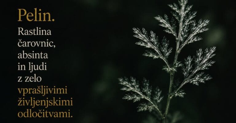 Rastlina čarovnic, absinta in ljudi z zelo vprašljivimi življenjskimi odločitvami.
